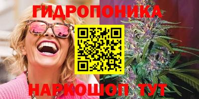 мяу мяу мука Будённовск