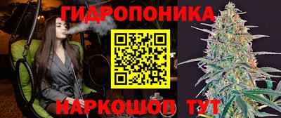 спиды Бузулук