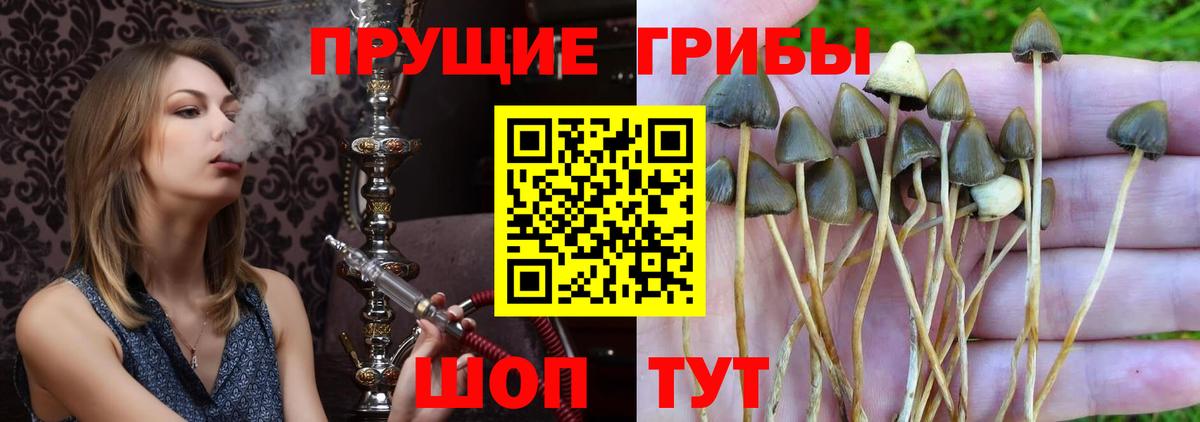 Галлюциногенные грибы ЛСД  Вход с VPN  Ростов Великий 